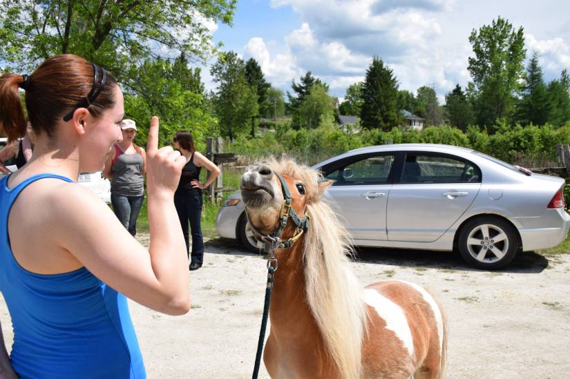 16810299_10154130179012511_1988511232_o