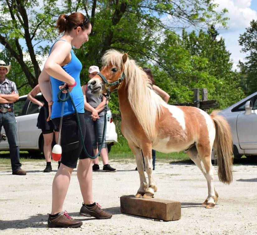 16810326_10154130178662511_1895386098_o_2