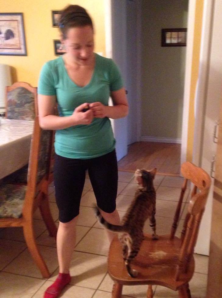 entrainement-clicker-chat-bengal-lily_2